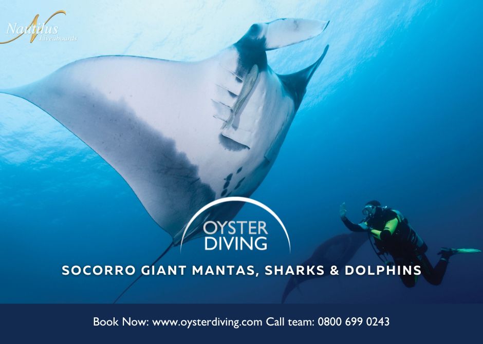 SOCORRO-GIANT-MANTAS-SHARKS-DOLPHINS-by-Oyster-Diving