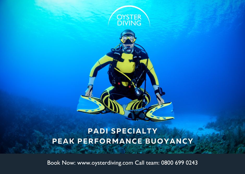 PADI-Specialty-Peak-Performance-Buoyancy-Oyster-Diving